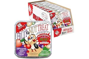 C&S Fruit n’ Nut Suet Treat, Suet Cakes for Wild Birds Including Robins, Blue Jays, Bluebirds, Tanagers, Thrushes and More, 8 Pack