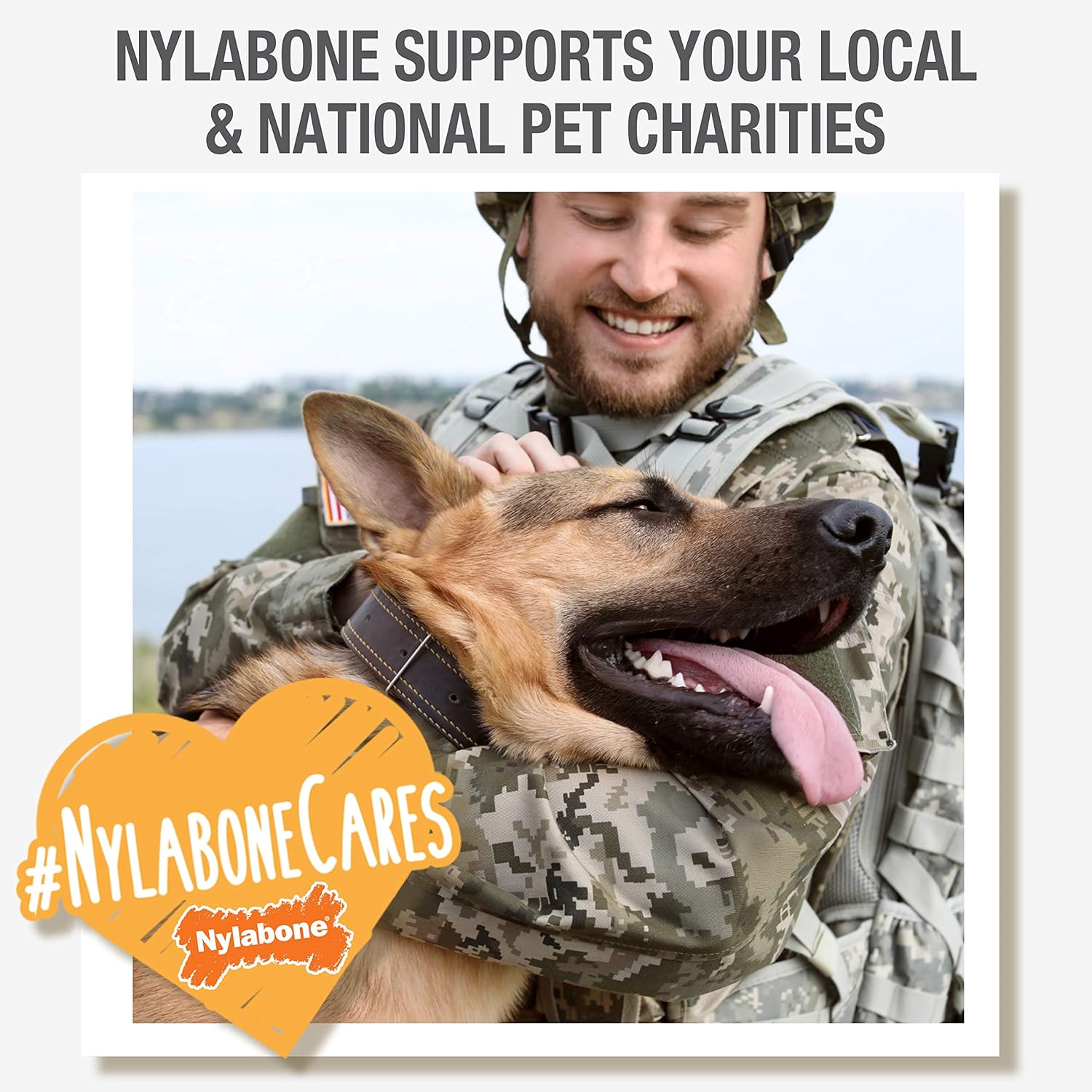 Pet Supplies : Pet Chew Toys : Nylabone Just for Puppies Extra Small Pacifier Bone Puppy Dog Teething Chew Toy : 