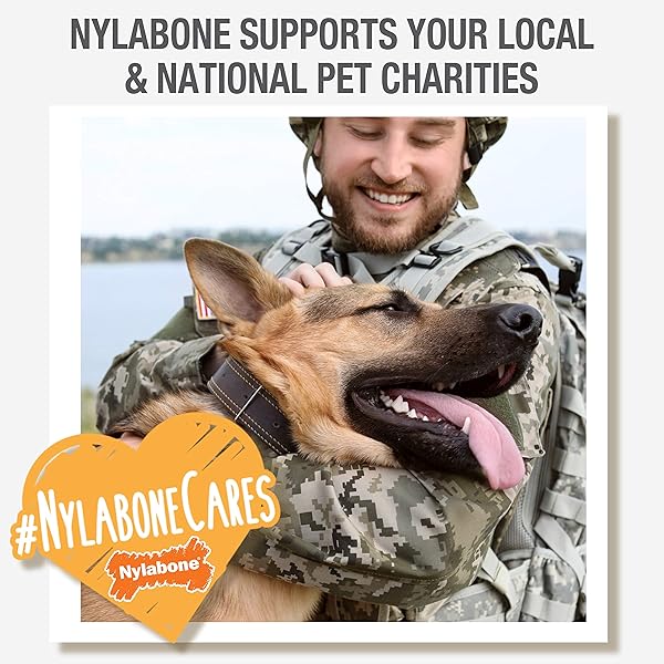 NYLABONE ORIGINAL BONE POWER CHEW TOY FOR DOGS, DURABLE DOG TOYS FOR AGGRESSIVE CHEWERS, BASTED BLAST CHICKEN FLAVOR, LARGE – UP TO 50 LBS, 2 PACK