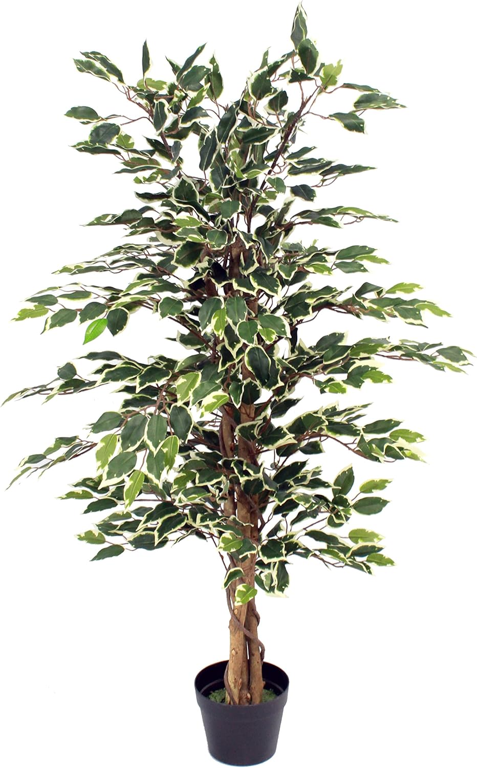 Blooming Artificial Artificial 120cm / 4ft (H) Ficus Tree, High