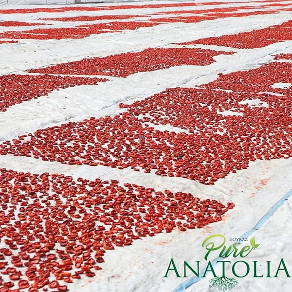 PURE ANATOLIA ORGANIC SUN-DRIED TOMATOES JULIENNE CUT – DRY PACKED, NO OIL ADDED, UNSULFURED, NO PRESERVATIVES – PREMIUM TURKISH QUALITY – PERFECT FOR PASTA, SALAD & COOKING – 3.17 OZ RESEALABLE BAG