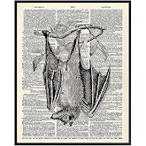 Gothic Bat Dictionary Wall Art Decor Picture - 8x10 Upcycled Poster for Apartment, Living Room, Home Office, Bedroom - Gift for Steampunk or Goth Fans - Vintage Retro Photo Print
