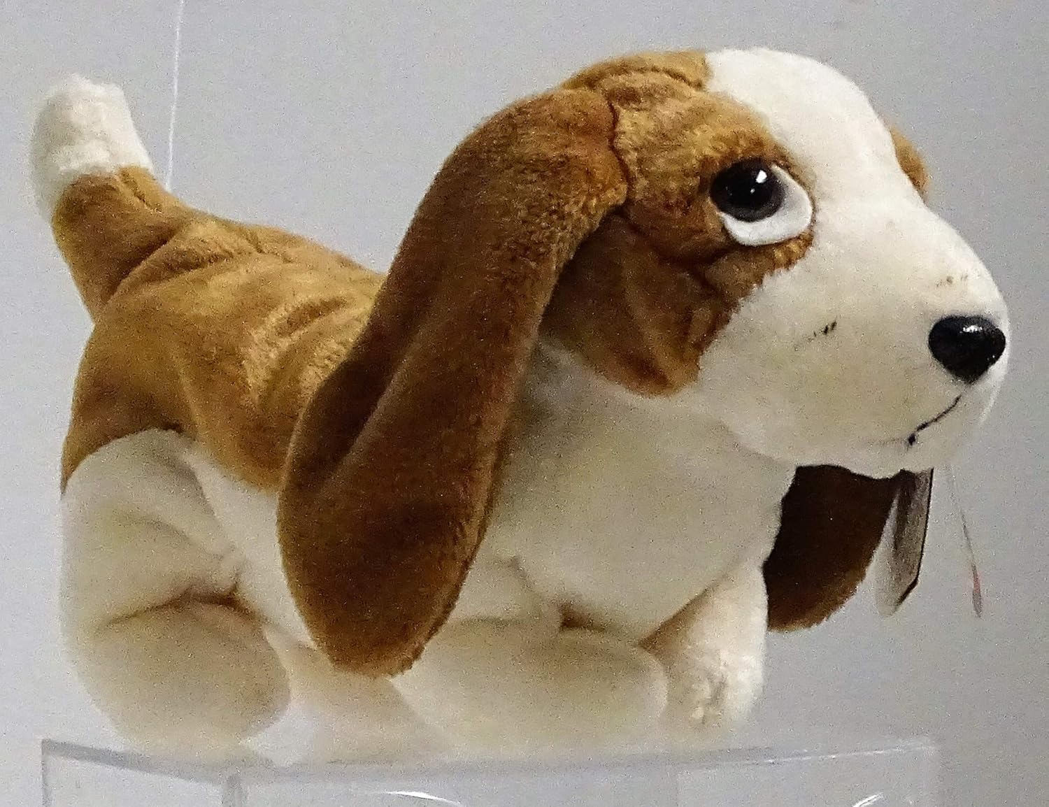 tracker ty beanie baby worth