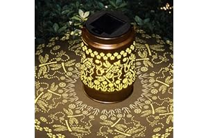 Styleonme Dragonfly Lover Solar Light, Mother's Day Lantern Gift for Mom Grandma Women Sister, Hanging Image Dragonflys Lanterns, Yard Corridor Garden Decor, Thanksgiving Day, Birthday Gifts