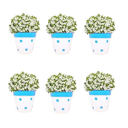 Pepper Agro 5 Inch Round Metal Flower Pot | Blue Dotted Design Plant Planter | Material- Cast Iron | Set 0f 6