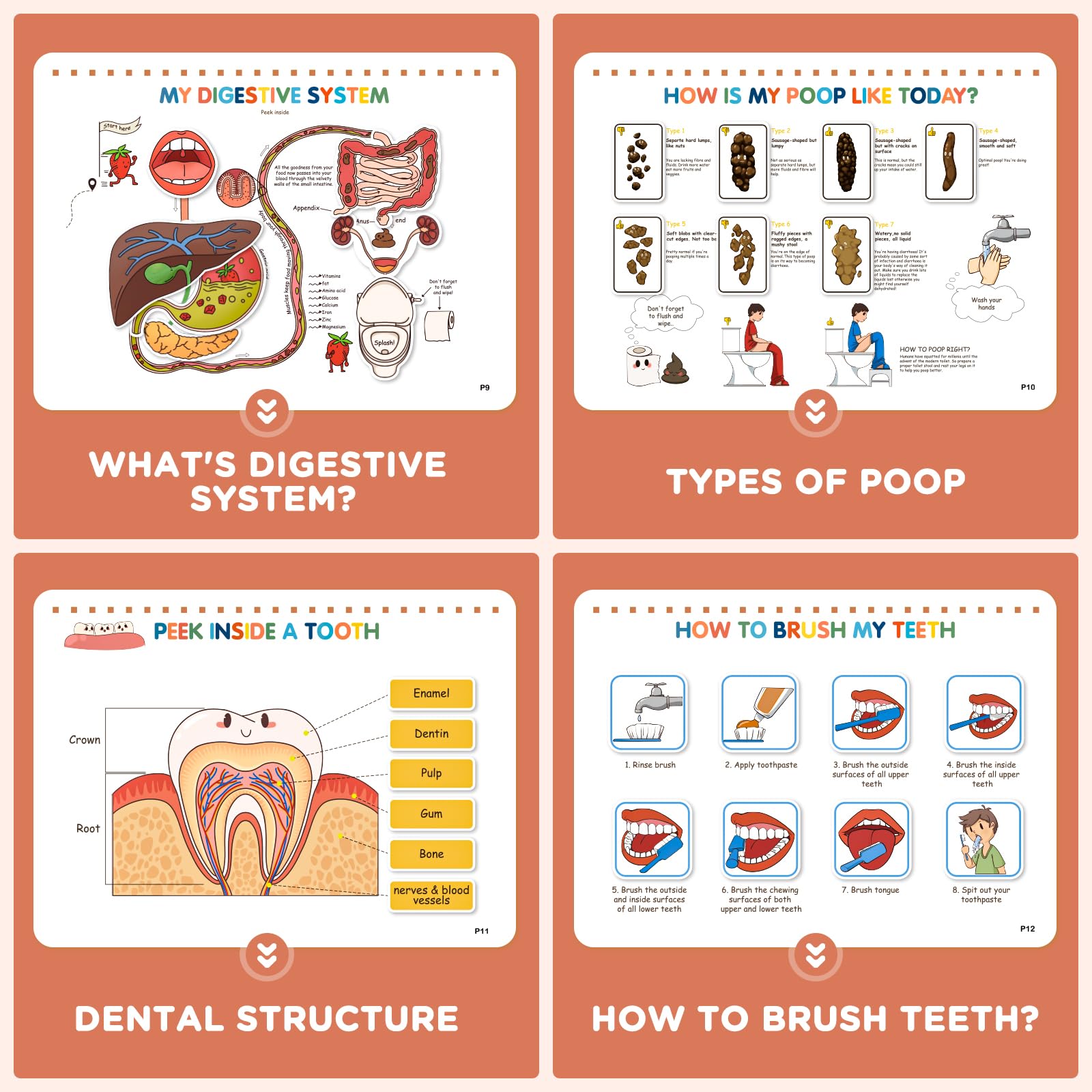 Mua Ayyomo Human Body Anatomy Busy Book for Kids, Montessori Homeschool ...