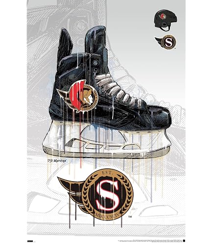 Amazon.com: Trends International NHL Ottawa Senators - Maximalist