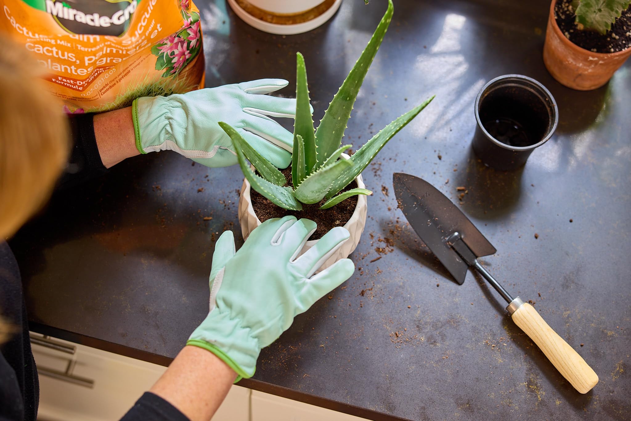 Miracle-Gro Potting Mix