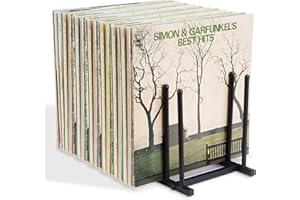 FFQ Vinyl Record Holder,Vinyl Record Storage,Album Storage Rack for Vinyl Records,Vinyl Record Holder Stand for Magzine/books/Albums/Files