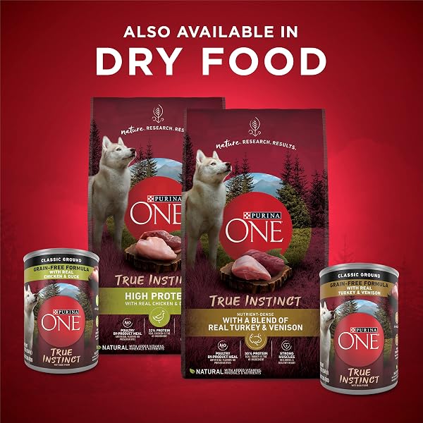 PURINA ONE TRUE INSTINCT CLASSIC GROUND GRAIN-FREE FORMULAS WITH REAL TURKEY AND VENISON, AND WITH REAL CHICKEN AND DUCK HIGH PROTEIN WET DOG FOOD VARIETY PACK – (PACK OF 6) 13 OZ. CANS