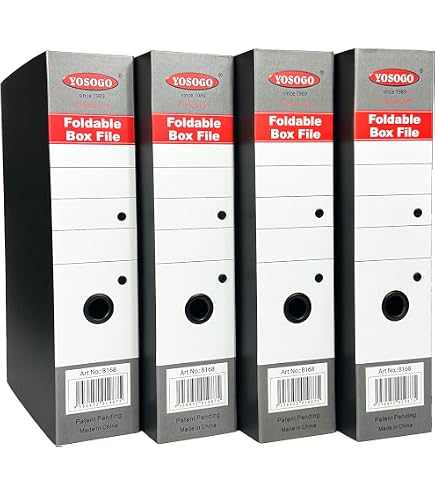 Leitz Premium Archive Box with Locking Flap, 120 mm Spine Width