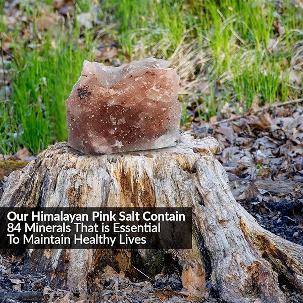 HIMALAYAN NATURE ANIMAL LICKING PINK SALT ROCK LICK DEER| 5 POUND