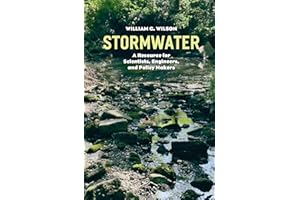 Stormwater: A Resource for Scientists, Engineers, and Policy Makers