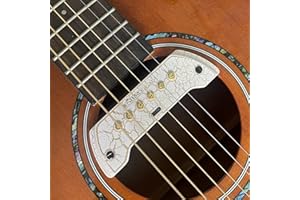 SDYQD Acoustic Guitar Pickup, JC-A2 Hum-canceling Soundhole Pickup, Acoustic Guitar Dual System Pickup Kit with Microphone Rechargeable Magnetic Humbucker for Acoustic Guitar (JC-A2 NEW)