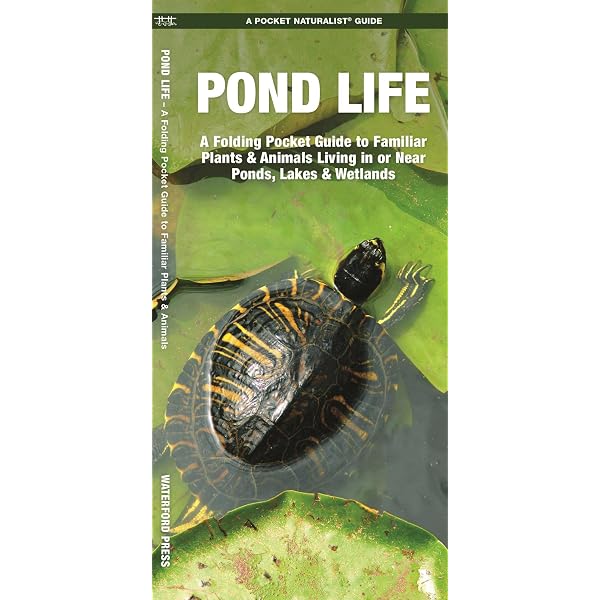 Amazon.com: Promiscuity: An Evolutionary History of Sperm