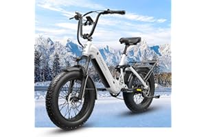 PUCKIPUPPY Electric Bike for Adults, Peak 960W Motor, 48V 20Ah Battery Ebike, 20''×4.0'' Fat Tire Full Suspension Electric Mo