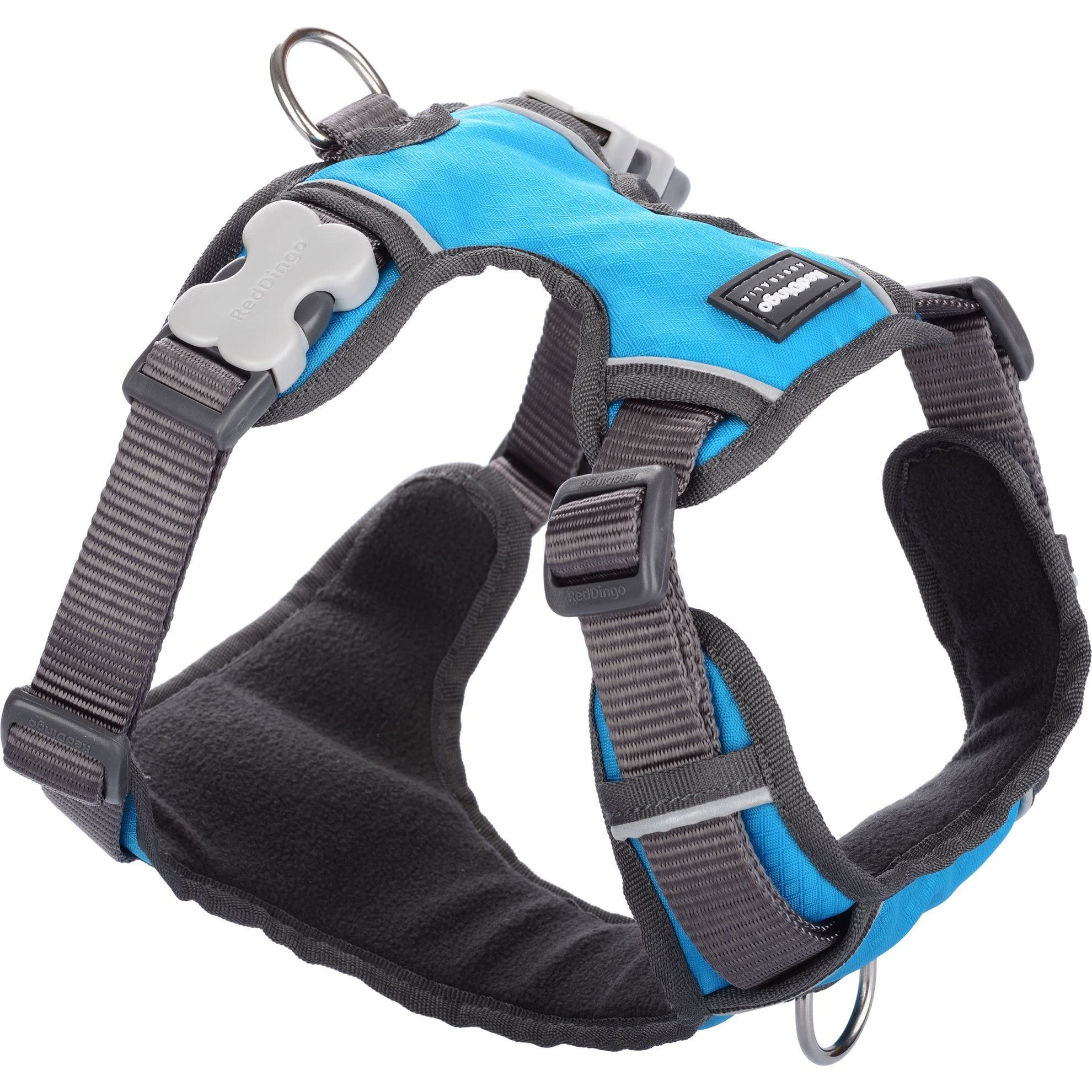 Red Dingo Padded Dog Harness Plain, Turquoise, Medium 20mm