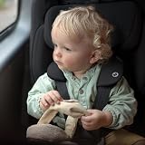 Maxi-Cosi Nomad Plus Foldable Car Seat 15m-4y 76-105cm Black view 8
