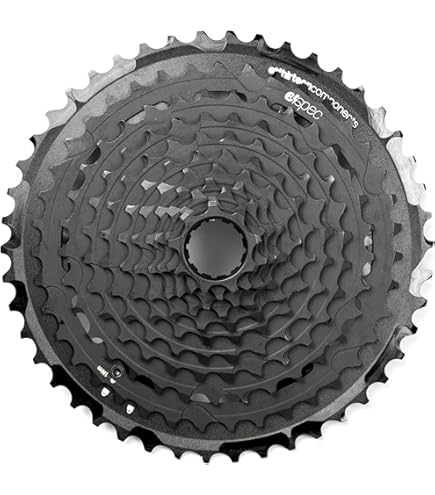 Amazon.com : e*Thirteen TRS Plus 11s Cassette - 9-46T, Black