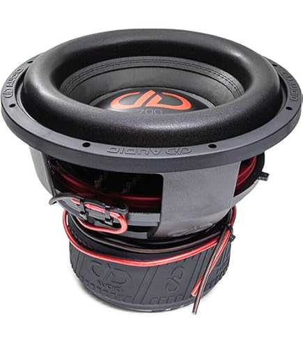 Amazon.com: DD Audio 12