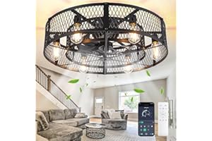 Depuley Flush Mount Ceiling Fan: 26 Inch Low Profile Ceiling Fans with Lights and Remote 6 Speeds Reversible - Caged Fan Ligh