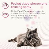 Beaphar CatComfort Calming Spray for Cats 30ml Pheromone Calming view 3