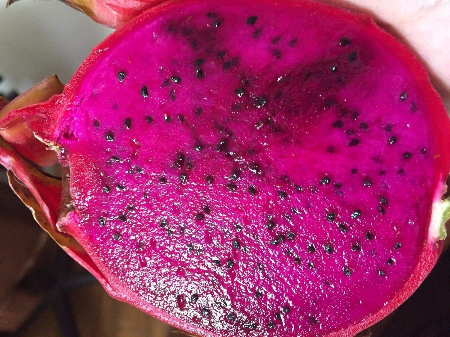 Amazon Co Jp レッドドラゴンフルーツ9 12 3本の挿し木 ホーム キッチン