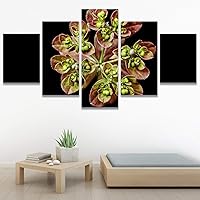 SIGNWIN 5 Panel Canvas Wall Art Flora Snapshot for Home Decorations Ready to Hang - 60