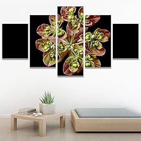 SIGNWIN 5 Panel Canvas Wall Art Flora Snapshot...