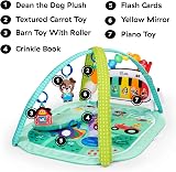 Baby Einstein Farm Explorers 4-in-1 Kickin’ Tunes Musical Meadow Gym view 3