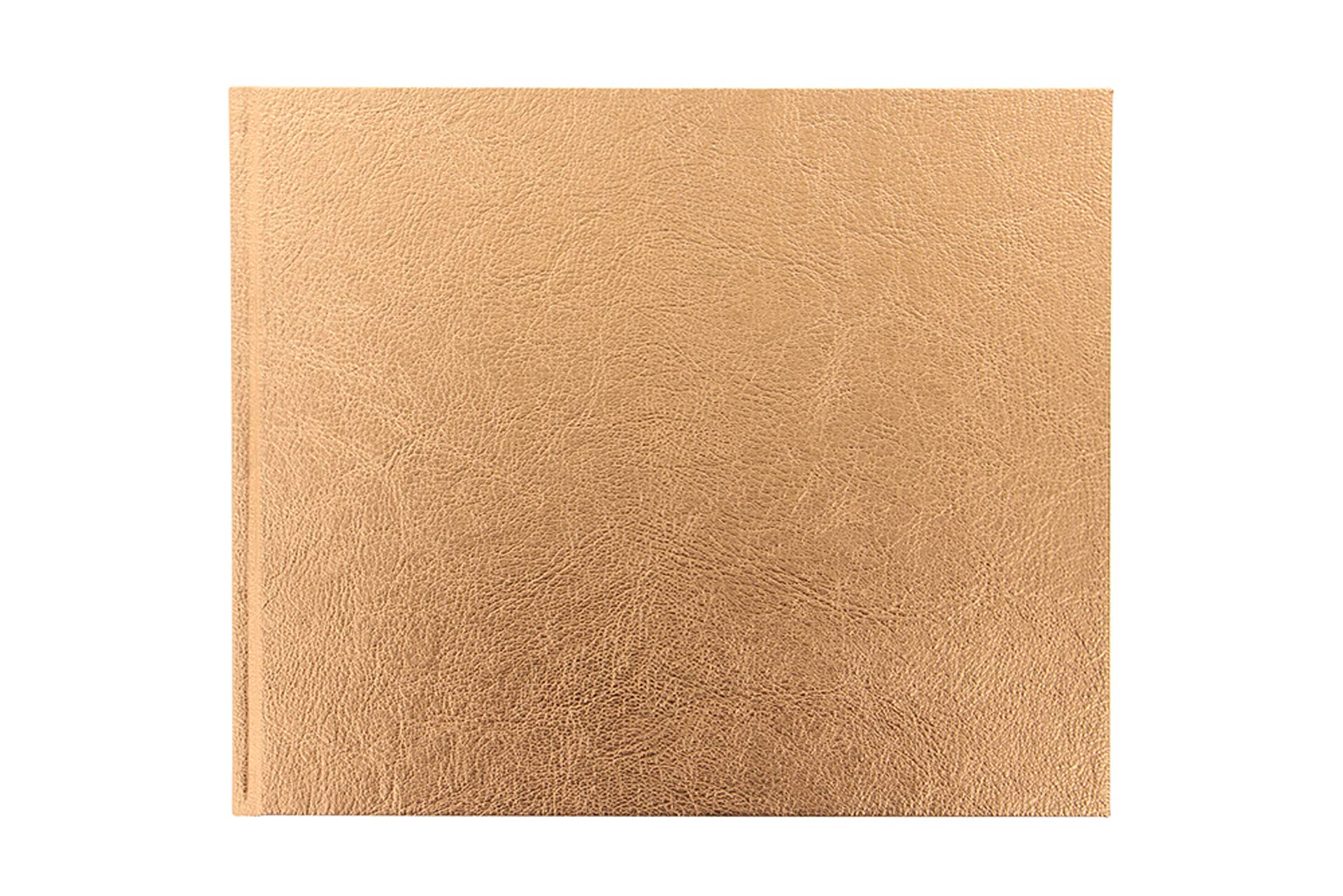 Letts Ladydate Quarto Landscape Occasions/Guest Book - Rose Gold, 990235