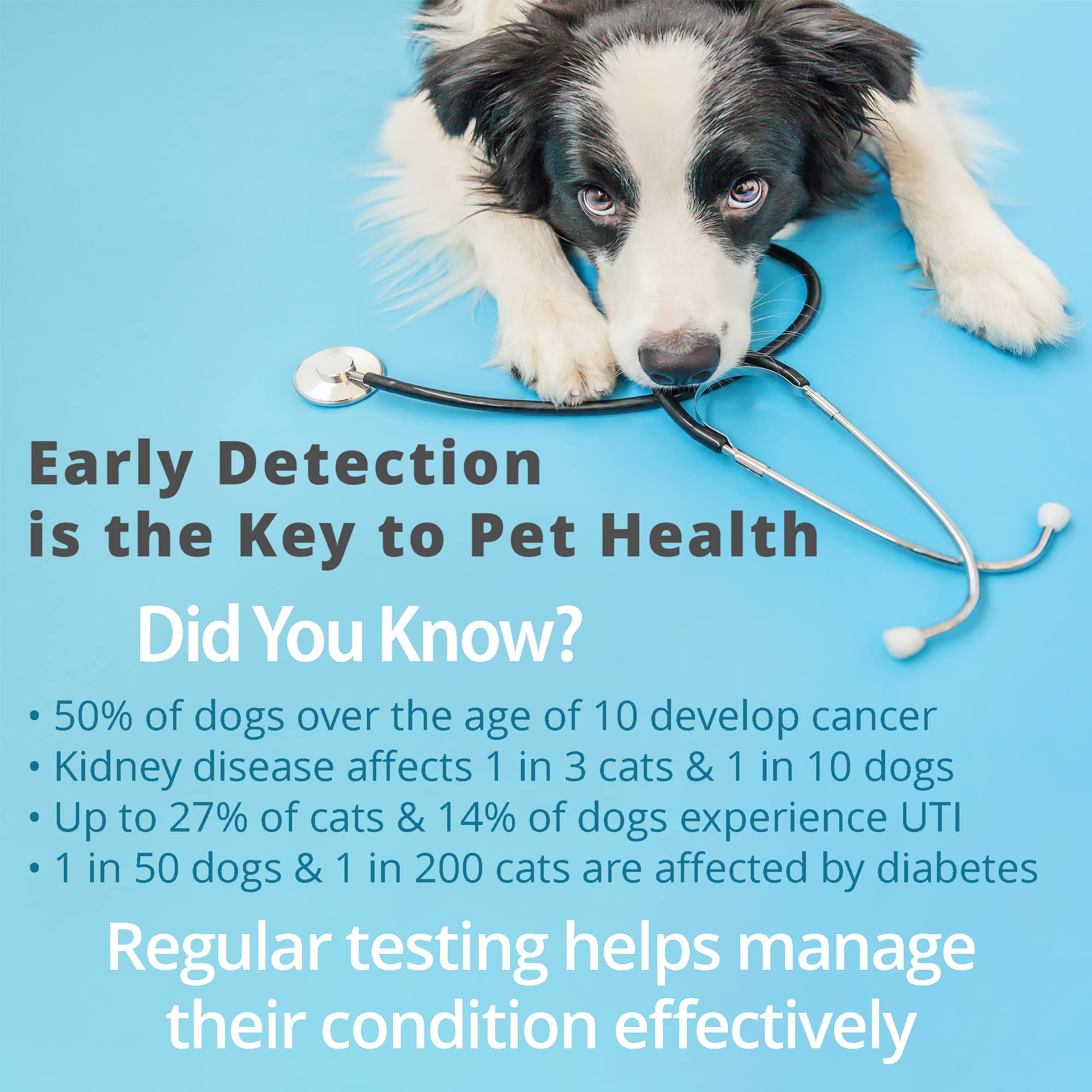 Curated visual reference: Fresh Look at Mua 10 Parameter Cat Dog Urine Test Strips 60Ct Cat