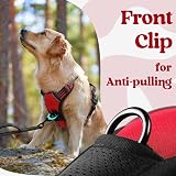 rabbitgoo Dog Harness Medium with Neck Release Buckle Front Back Clips Red M view 7