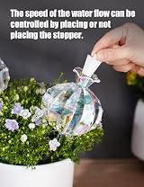 NiHome Large Plant Watering Globes 2-Pack Iridescent Glass Cactus 140 ml view 4