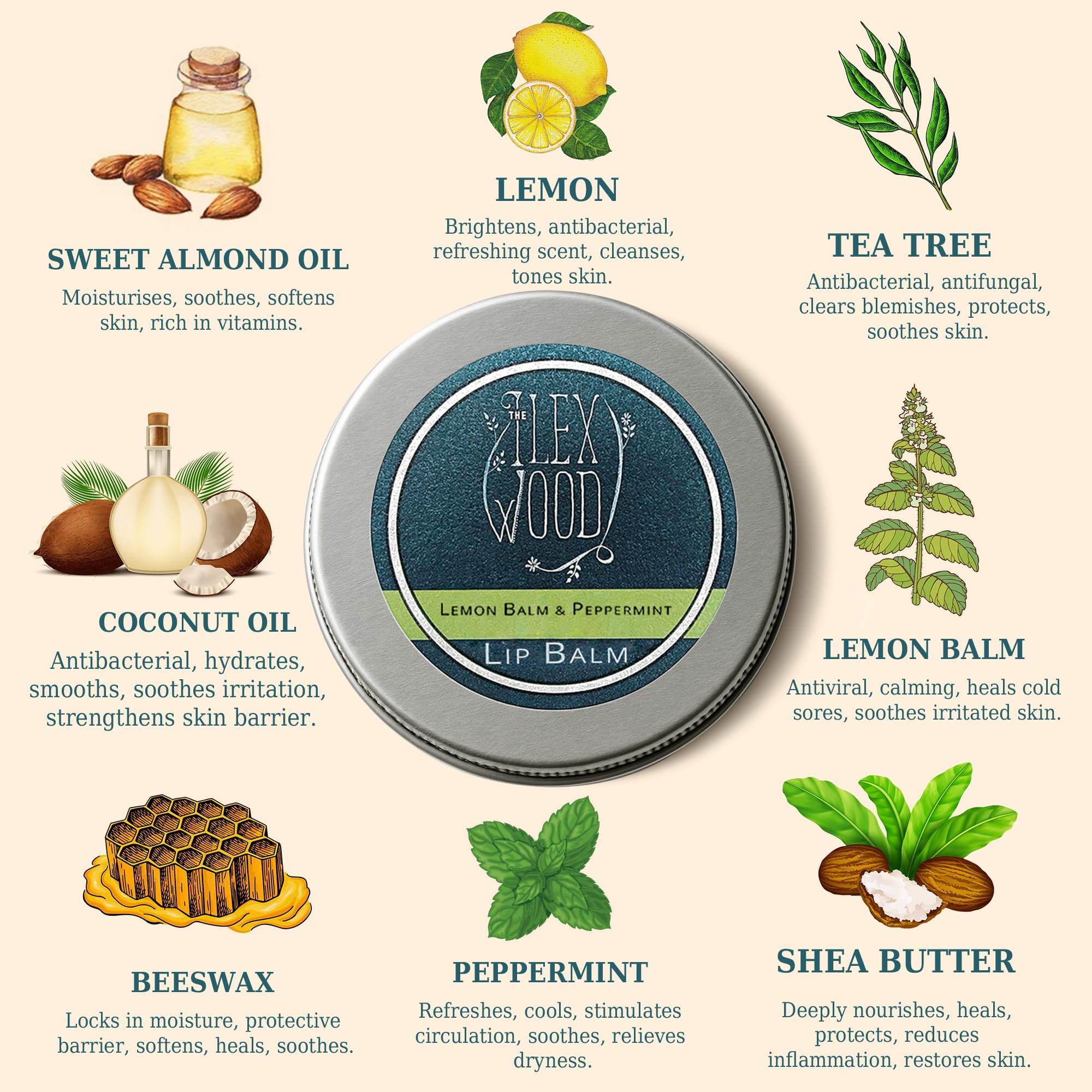 The Ilex Wood - All Natural Lip Balm - Lemon Balm and Peppermint - Cold Sore Treatment for Lips, Palm Oil Free, Cruelty Free, Plastic Free, Moisturising Lip Balm, Handcrafted - 10ml (0.34 fl oz)