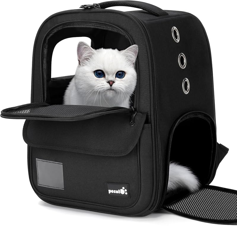 Pecute Cat Carrier Rucksack Pet Carry Bag for Dogs Cats Rabbits 42x32x30cm Black