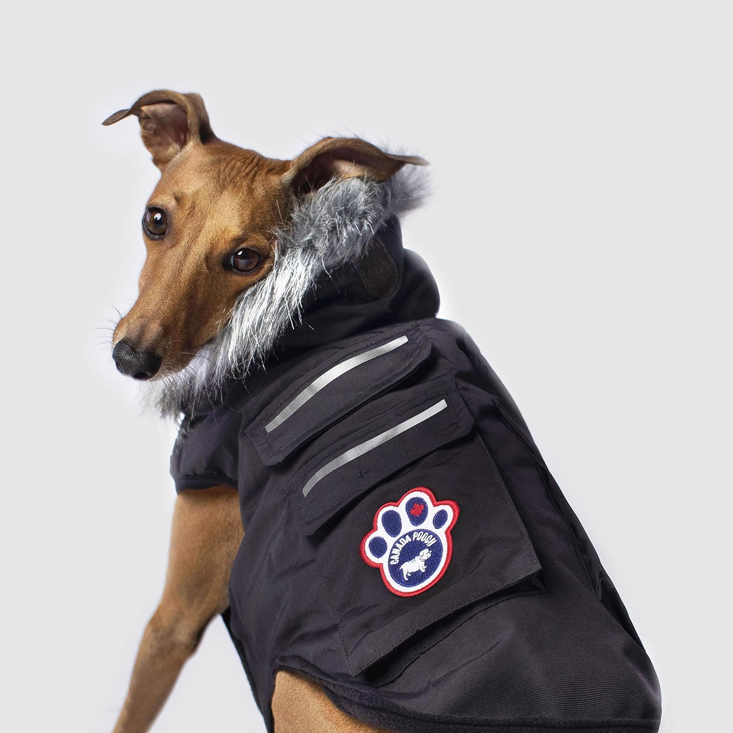 canada pooch jackets uk