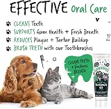 BUGALUGS Dog Toothpaste Gel for Dogs & Cats Fresh Mint Breath 2oz view 2