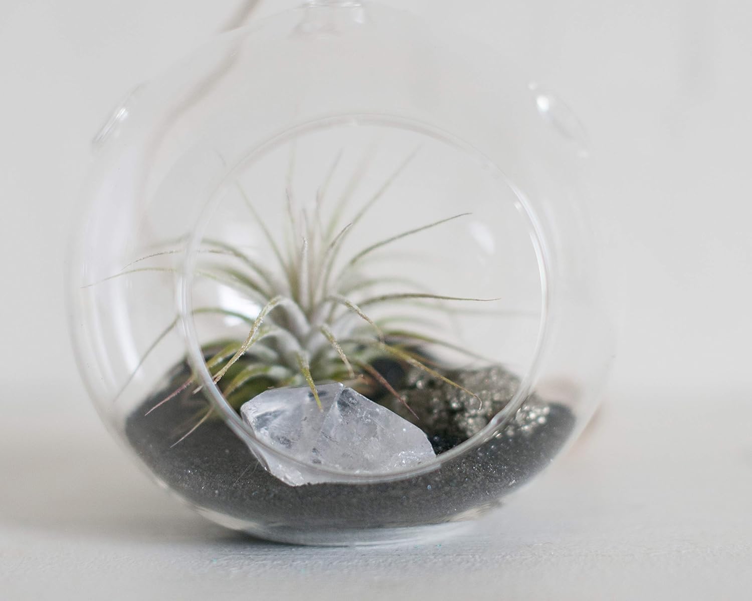 Amazon.com: Quartz Crystal and Pyrite Stone - Air Plant Glass Teardrop