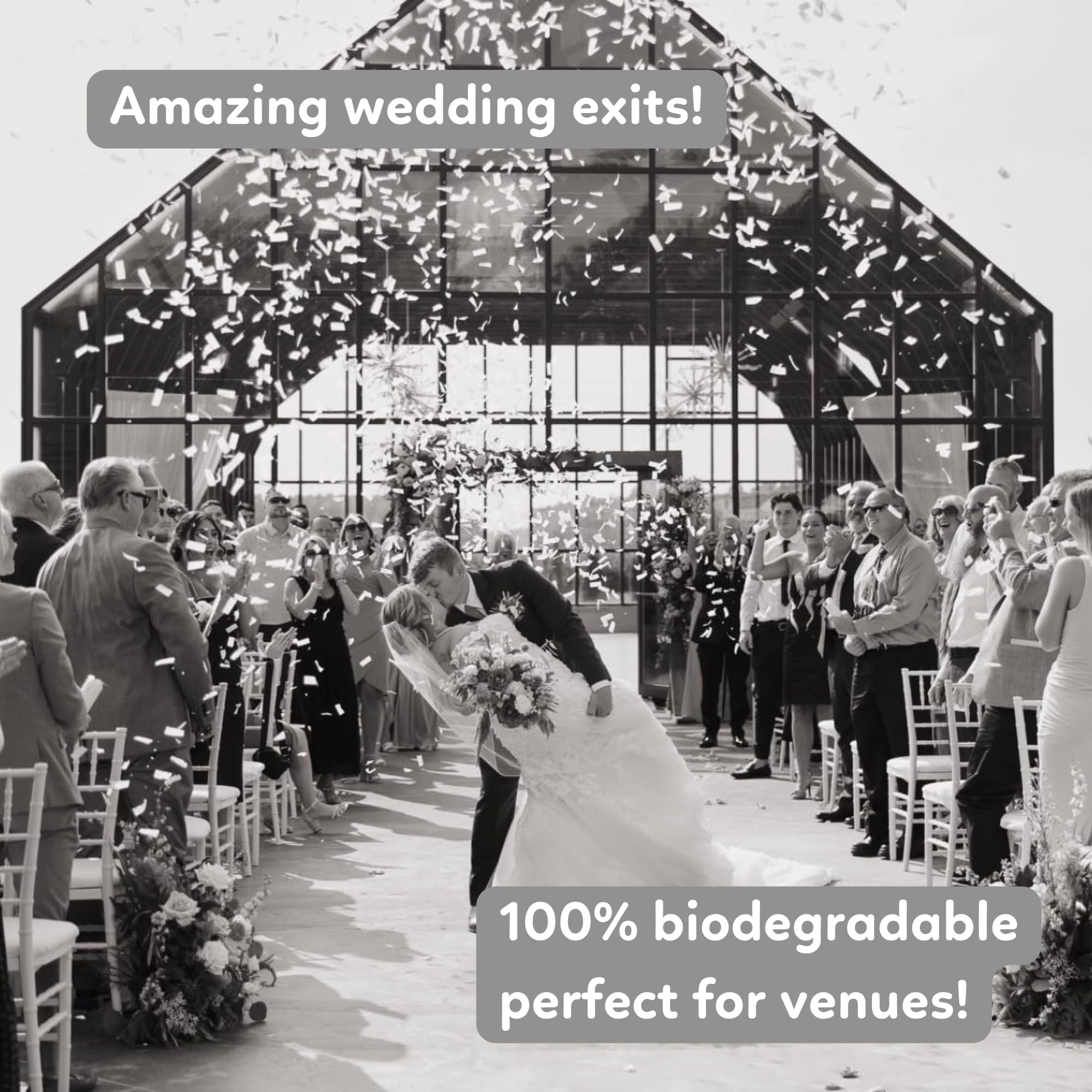 White Biodegradable Confetti Poppers Confetti Cannon | 6 Pack | Party Poppers Decoration for Wedding Exit, Graduation, Birthday | Wedding Party Favors | Launches 25 ft | 12 inch | TUR Party Supplies