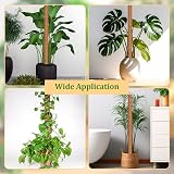 YAUNGEL Moss Pole 4 Pcs 41CM Coir Totem Plant Support with 20M Ties view 7
