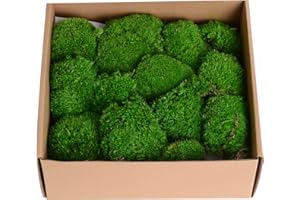 AMOUETERNO 1.5 Sq. Ft. Preserved Moss Pole Decorative Moss for Crafts, Art, Wall Decor,Dark Green