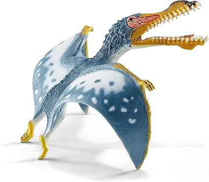 first round of kitten shots