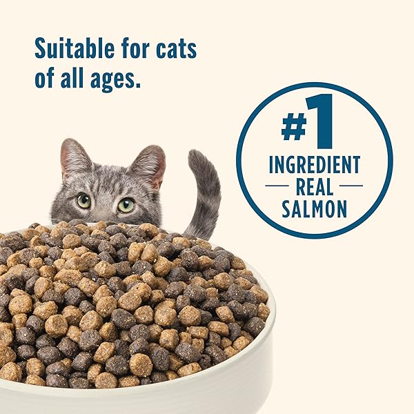 NUTRISH DRY CAT FOOD, REAL SALMON & BROWN RICE RECIPE WHOLE HEALTH BLEND, 3 LB. BAG (RACHAEL RAY)