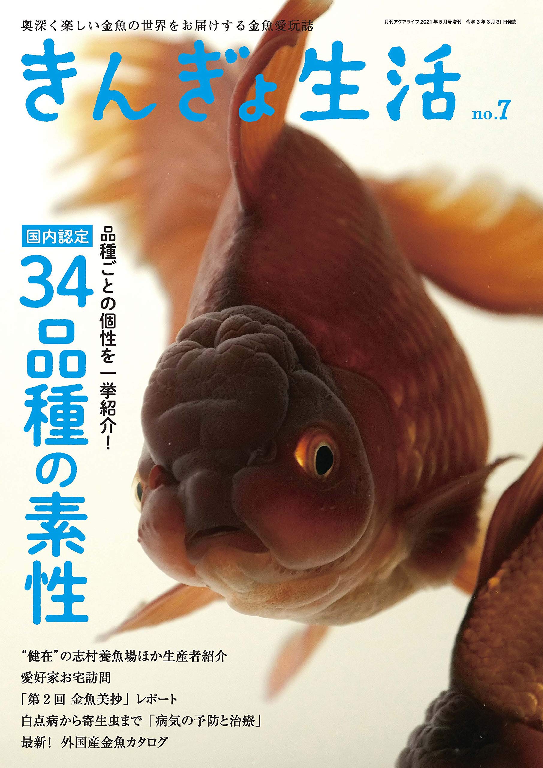 きんぎょ生活 No 7 本 通販 Amazon