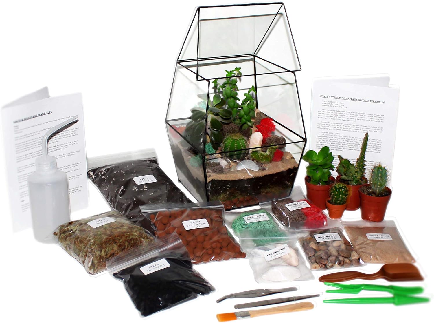 Lenka's Terrrariums Terrarium Kit UK DIY Succulent & Cacti Plants Step