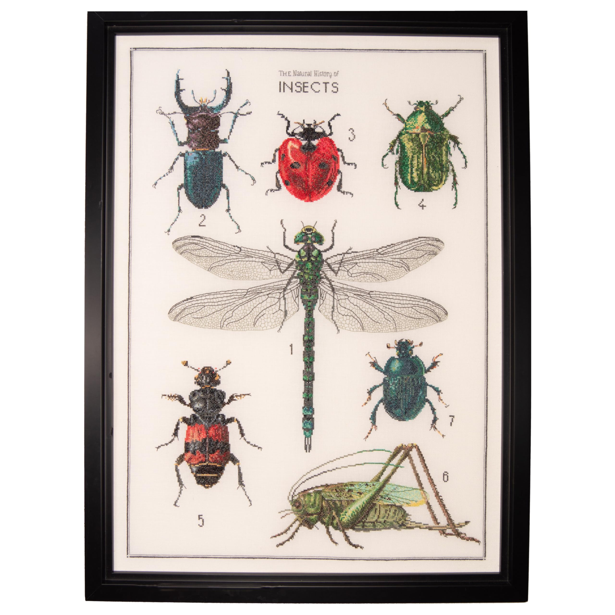 Thea Gouverneur - Counted Cross Stitch Kit - The History of Insects - Aida - 14 Count - Embroidery Kit for Adults - DMC Embroidery Threads and Other Cross Stitch Supplies Included - 566A