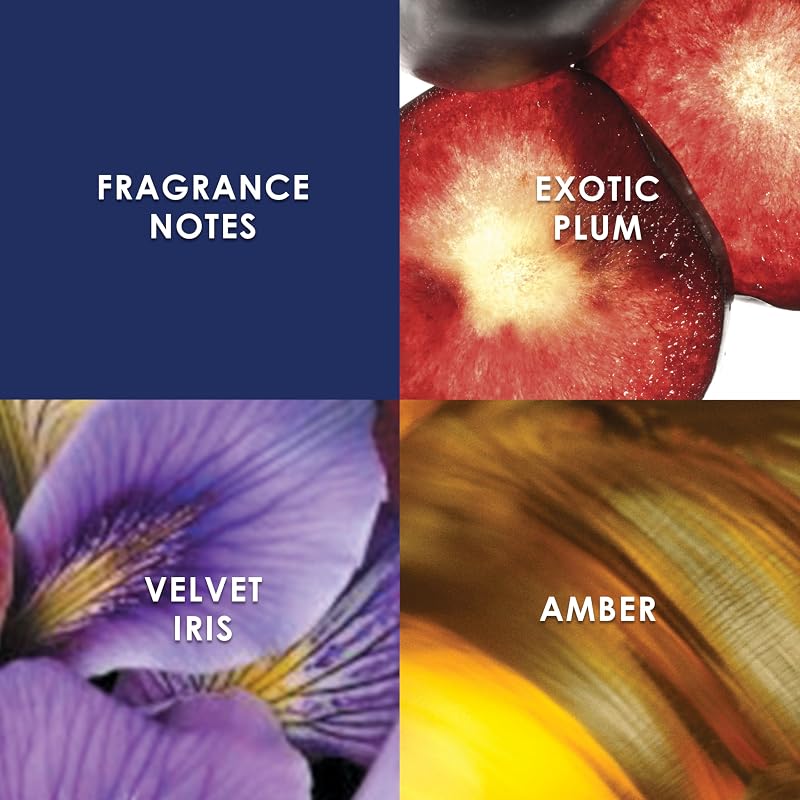 Midnight Fantasy Coffret, EDP 50 ml et Brume Parfumée 236 ml