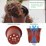 Augshy 110 Pcs 6 Inch Plant Nursery Pots Seed Starting Propagation view 4