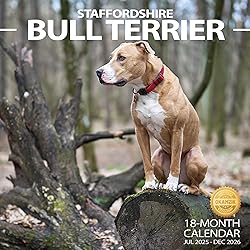 2025-2026 Wall Calendar American Staffordshire